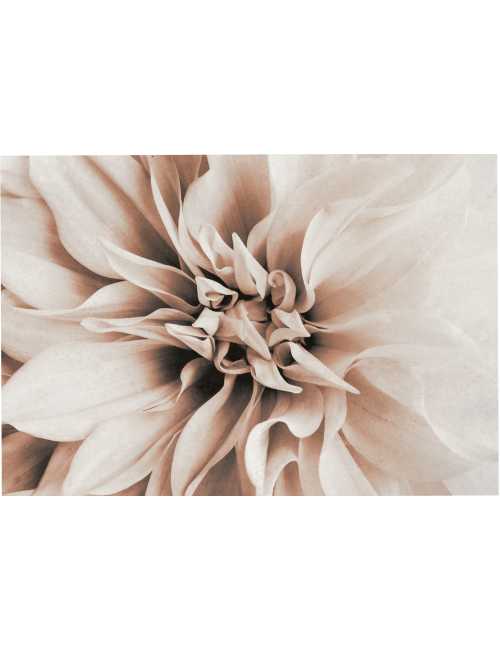 Nos Visuels - 413 FLEUR PASTELLE