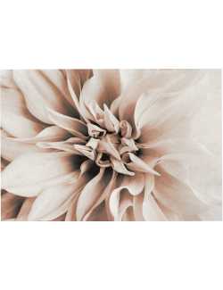 Nos Visuels - 413 FLEUR PASTELLE