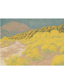 Nos Visuels - 417 TERRE D'OR