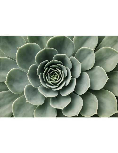 Nos Visuels - 418 FLEUR ZEN